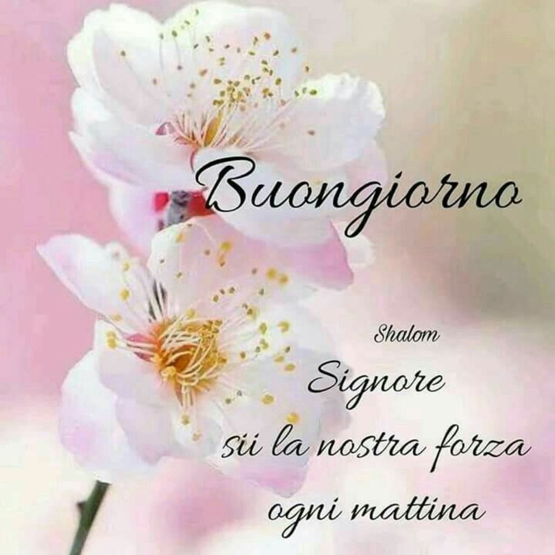 Foto religiose per Buongiorno da inviare 8806