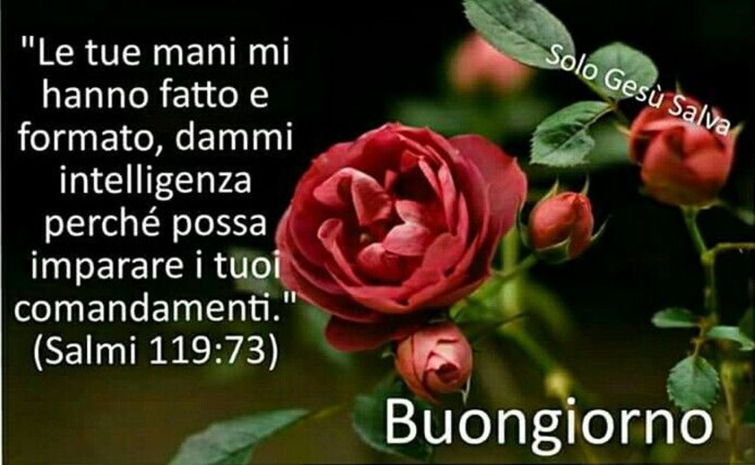 Foto religiose per Buongiorno da inviare 8823