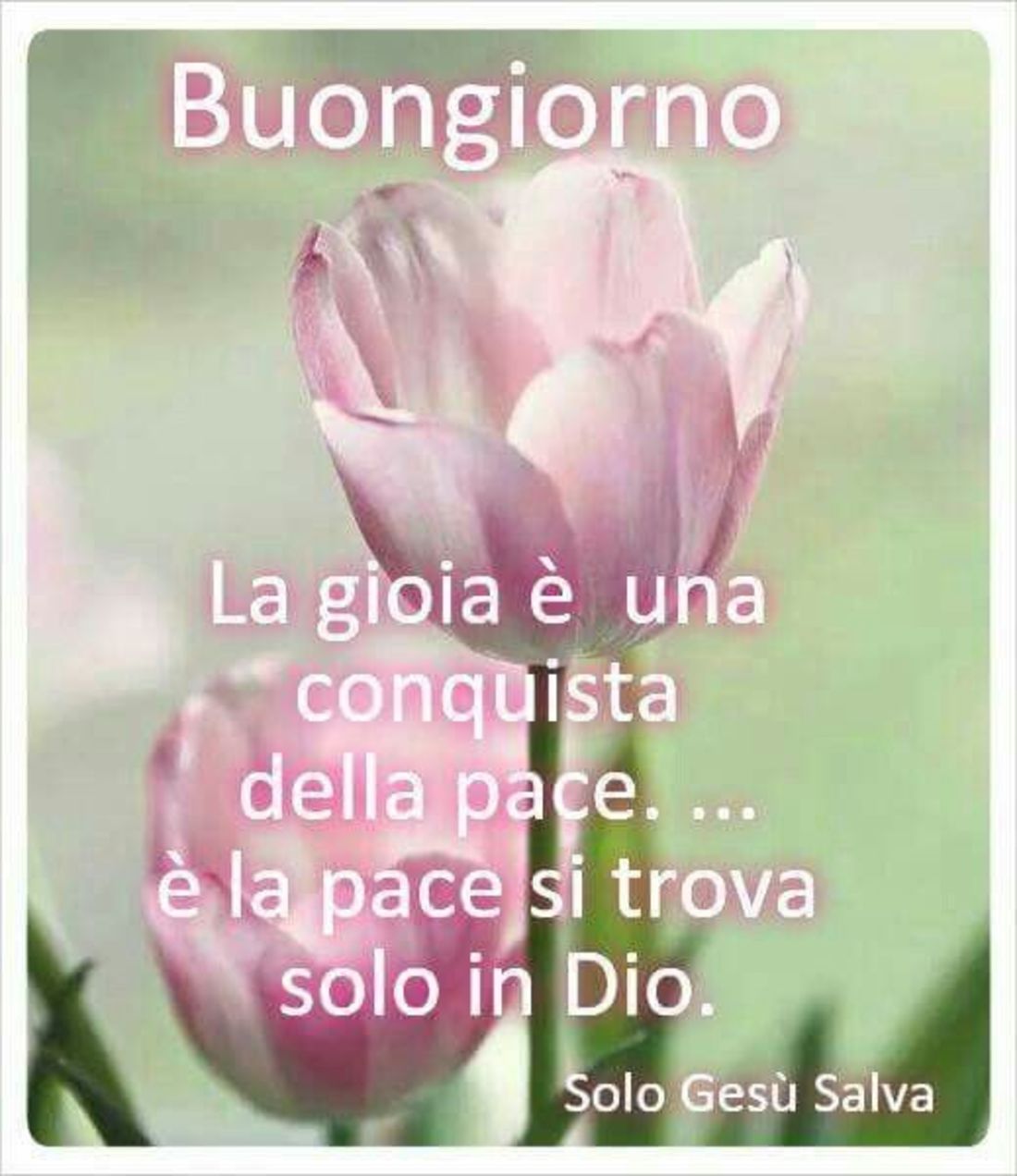 Frasi religiose per Buongiorno 8453