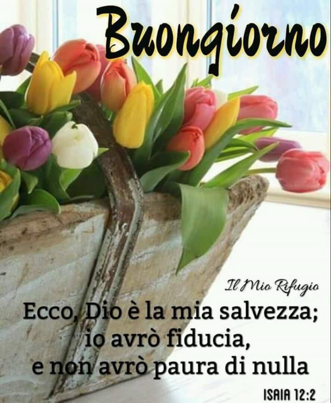 Frasi religiose per Buongiorno 8610