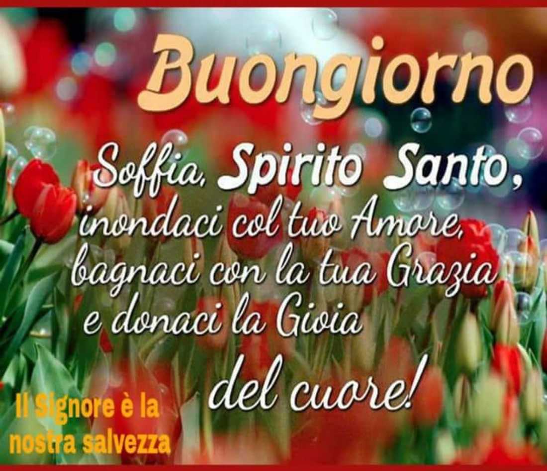 Google cerca Buongiorno religioso 9537