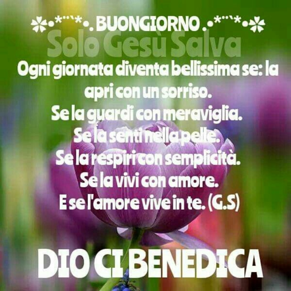 Immagini Buongiorno Dio ti benedica 5