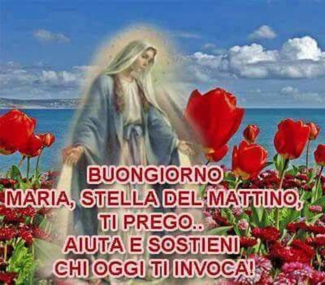 Immagini per Cristiani Cattolici del Buongiorno 3272