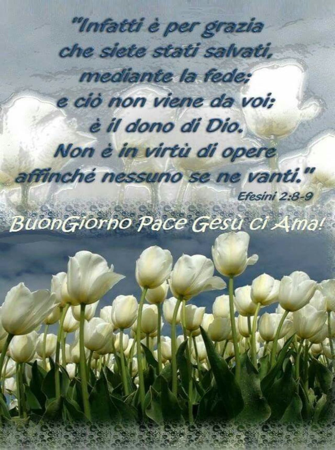 Immagini religiose per Buongiorno 2648