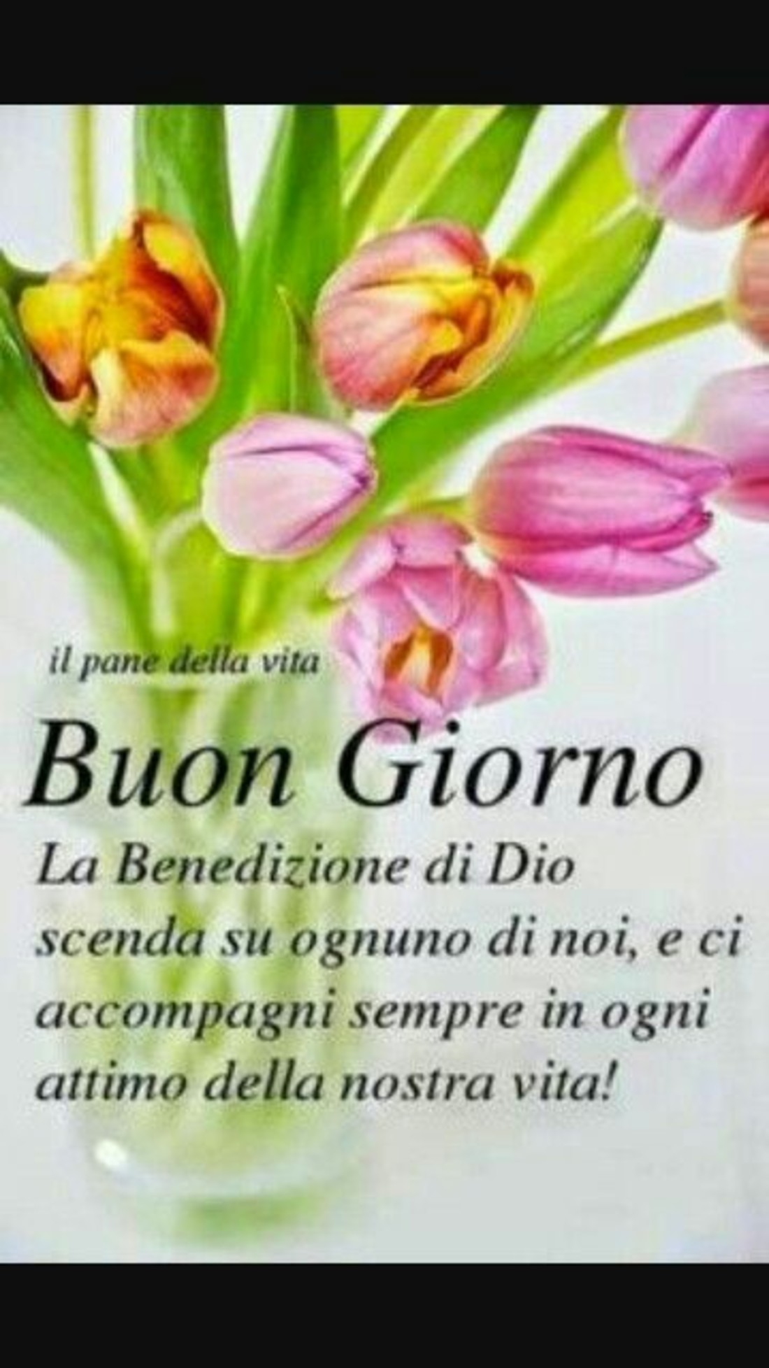 Immagini sacre belle per Buongiorno 3589
