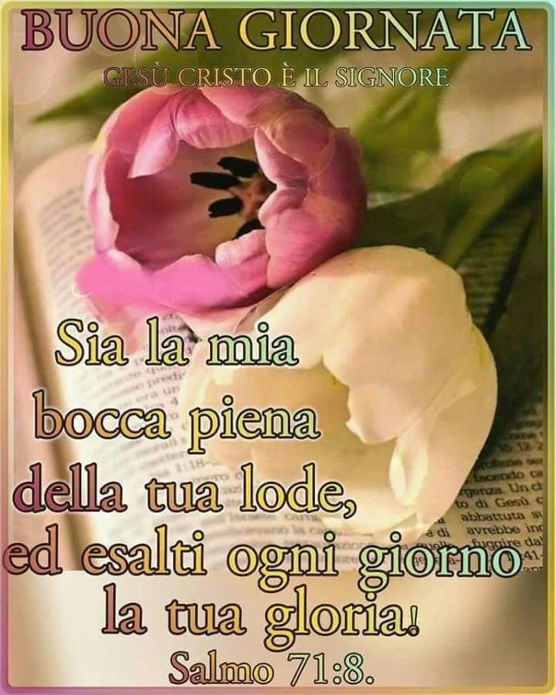 Immagini sacre con frasi del Buongiorno 8045