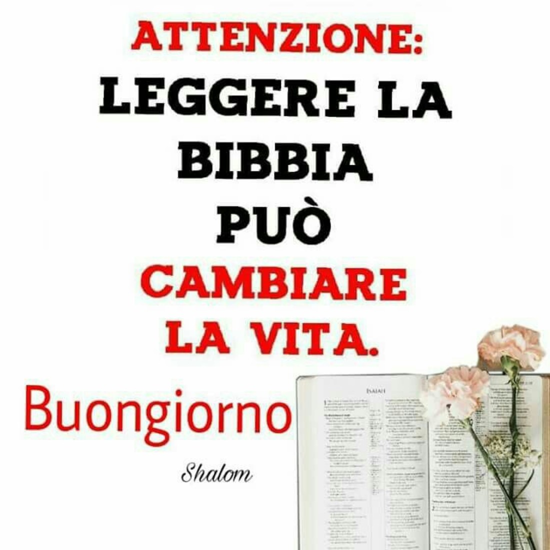 Immagini sacre con frasi del Buongiorno 8091