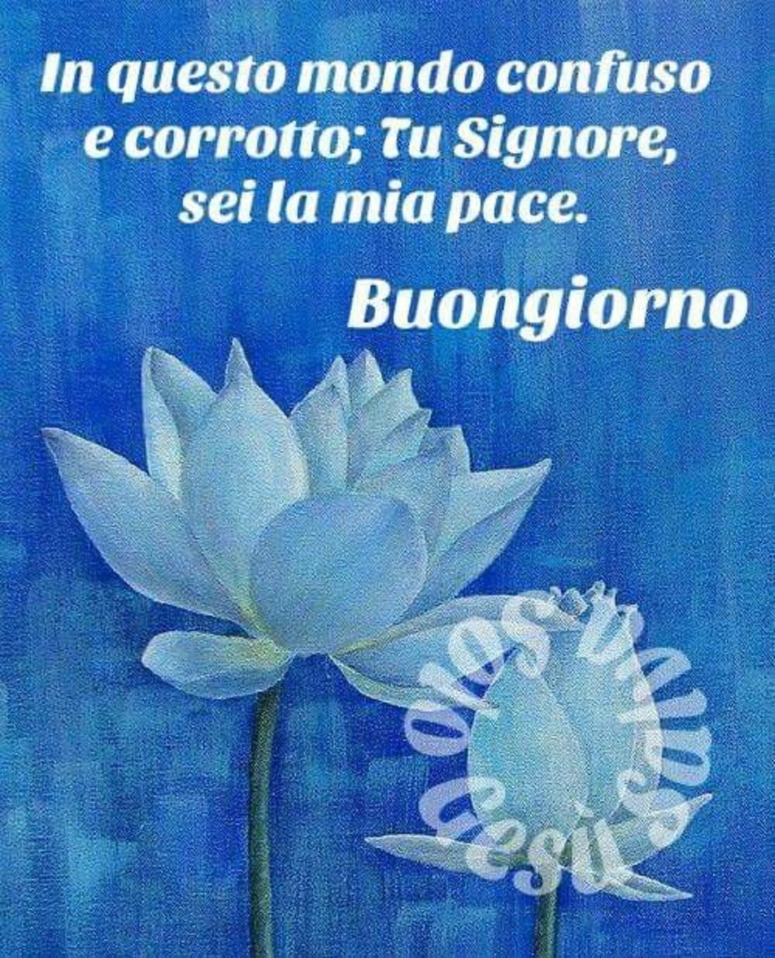 Immagini sacre del Buongiorno con i fiori 2