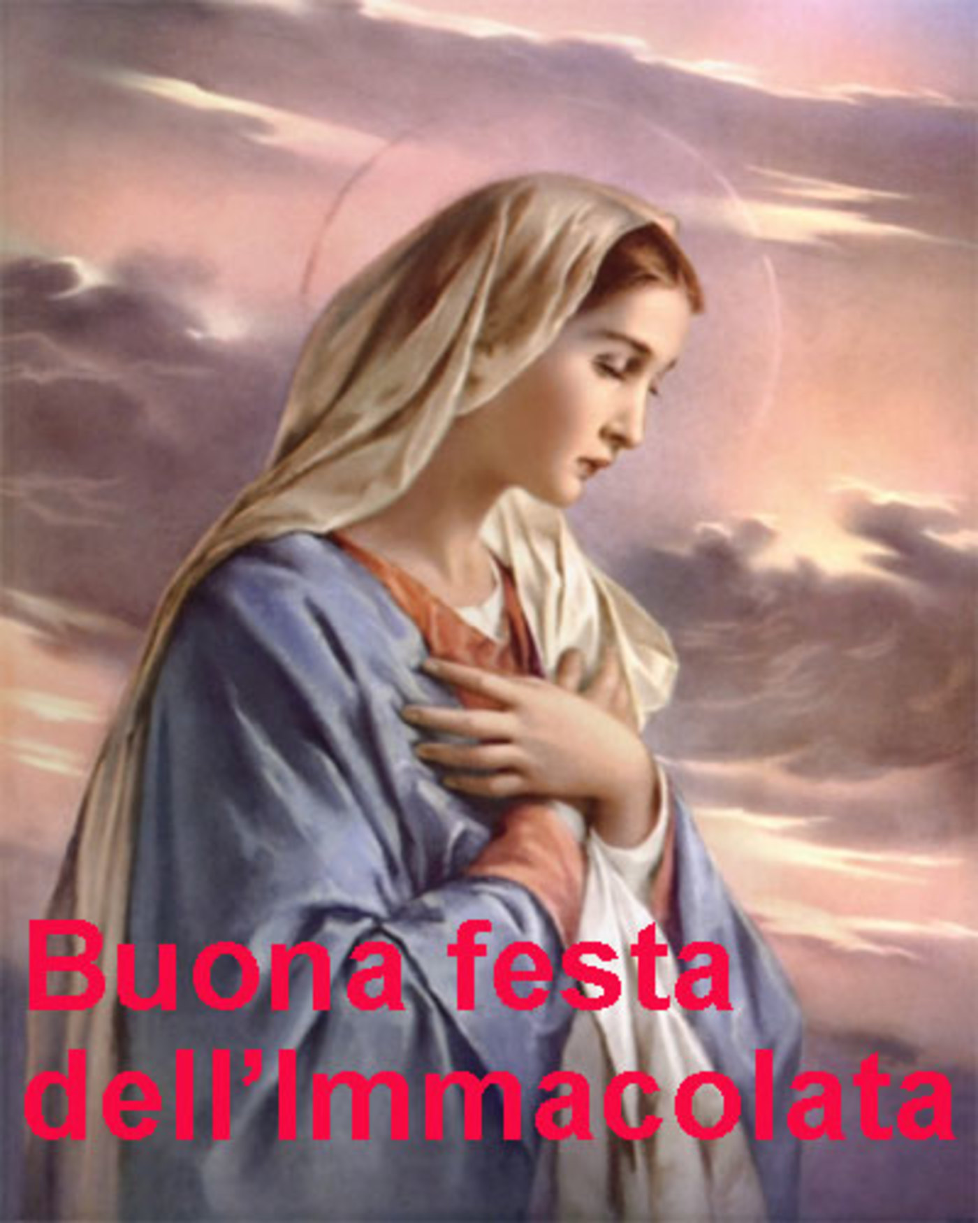 Buona Festa dell'Immacolata con la Madonna