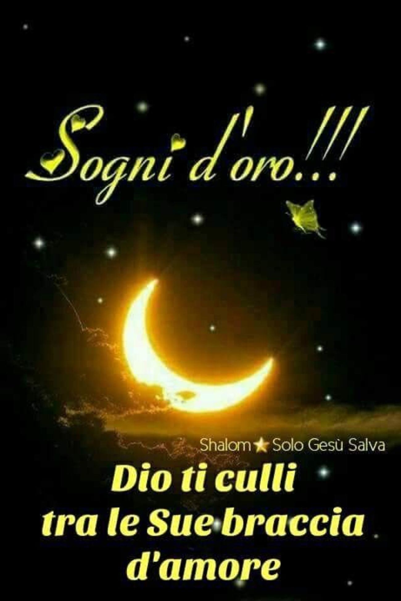 Buonanotte 1194