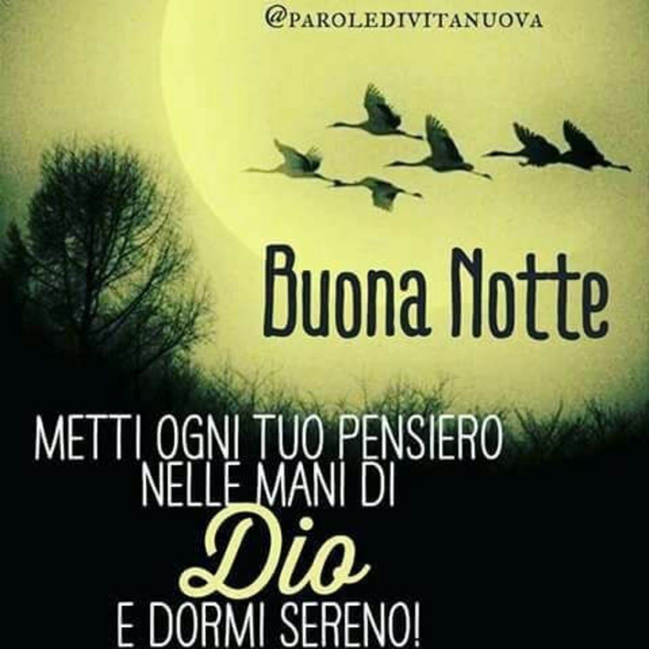 Buonanotte 1348