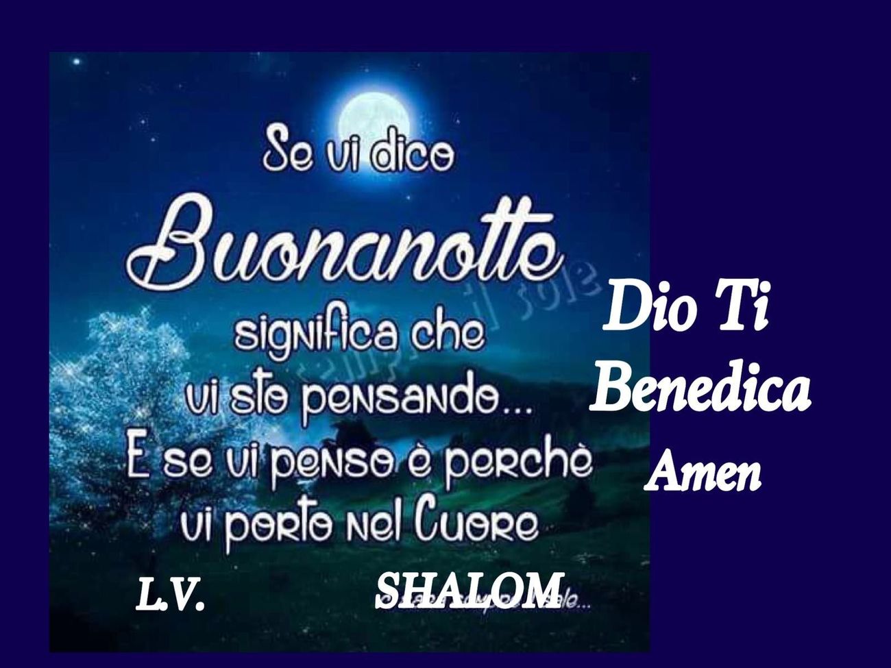 Buonanotte Madonnina 9221