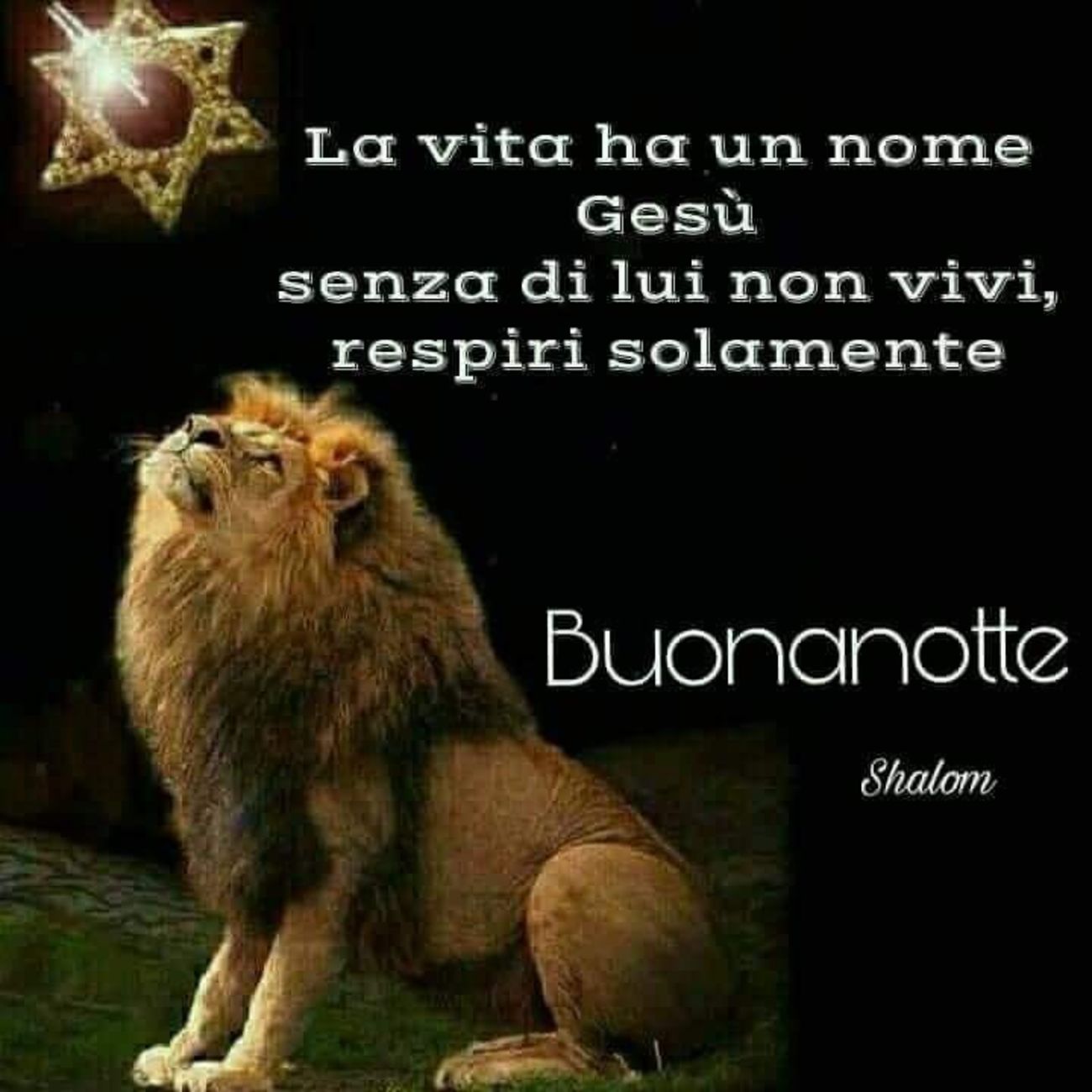 Buonanotte Madonnina 924