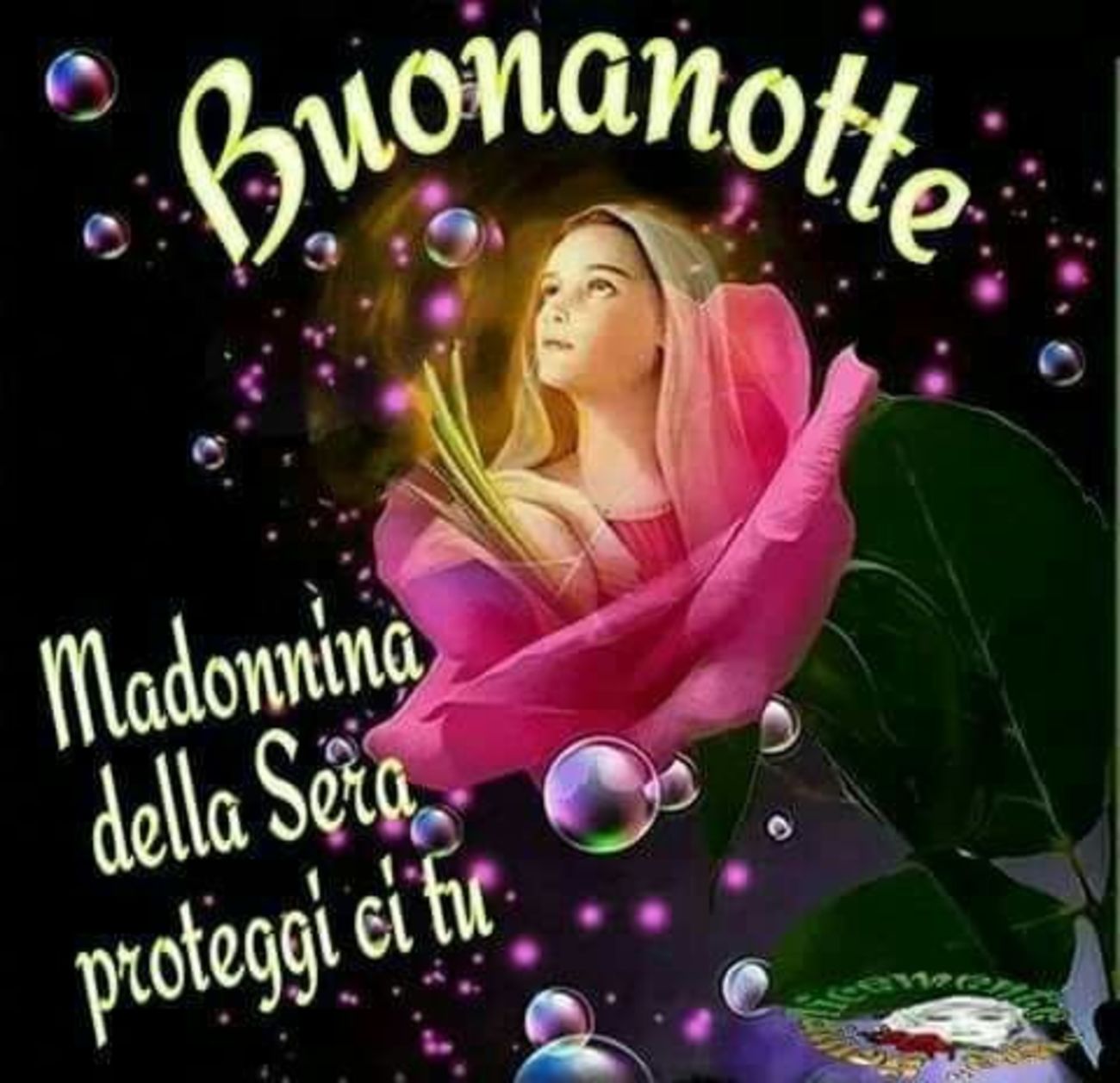 Buonanotte Madonnina 9351