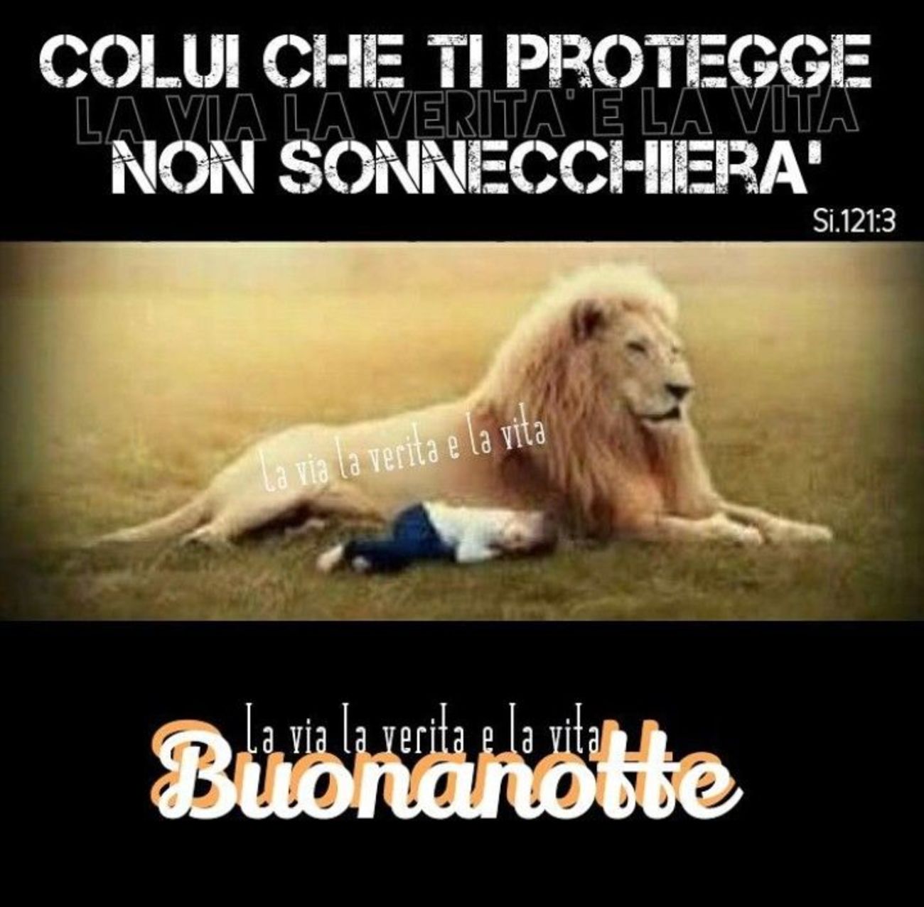 Buonanotte My Angel 9388