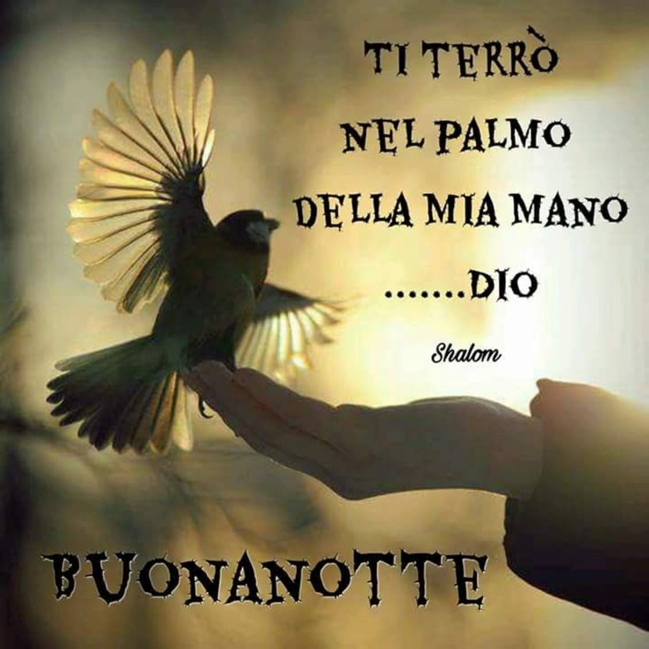 Buonanotte Spirito Santo 2