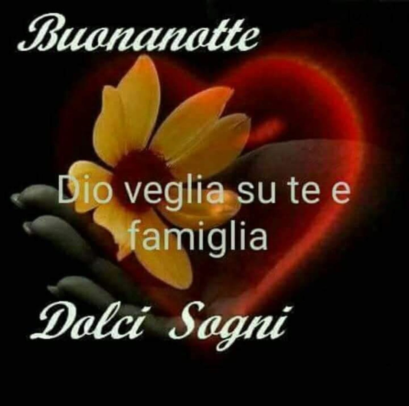 Buonanotte con Dio 8205