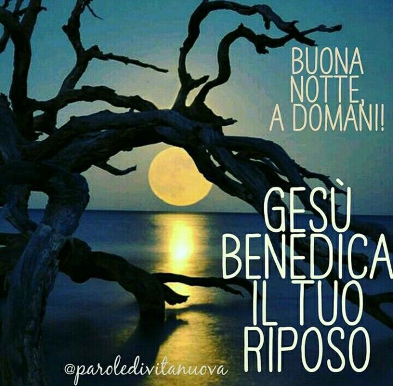 Buonanotte con Gesù 2788