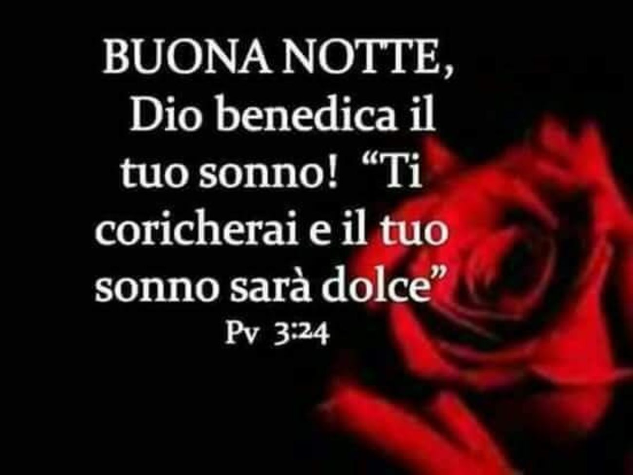 Buonanotte con Preghiere 3573