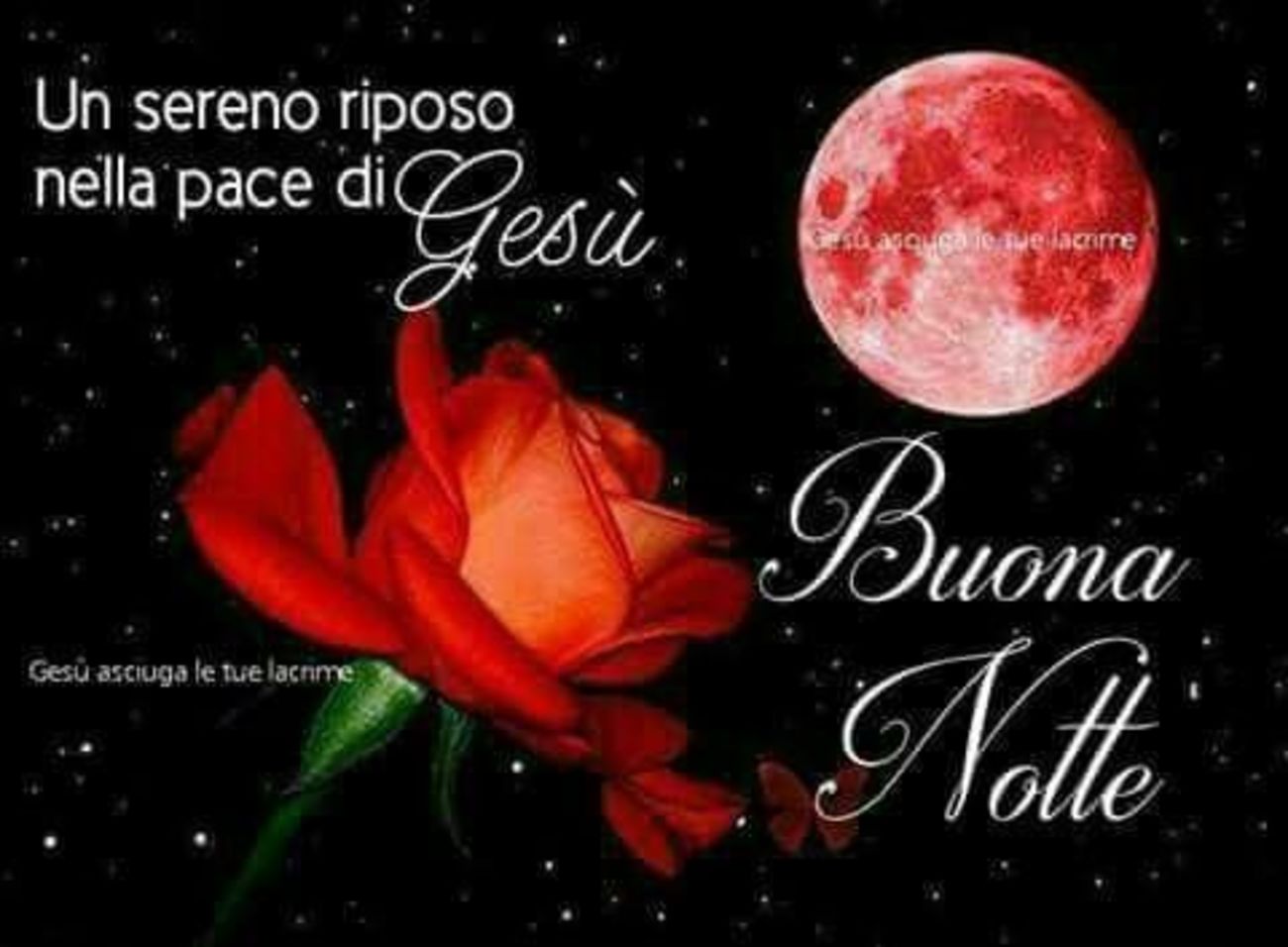 Buonanotte con Preghiere 3708