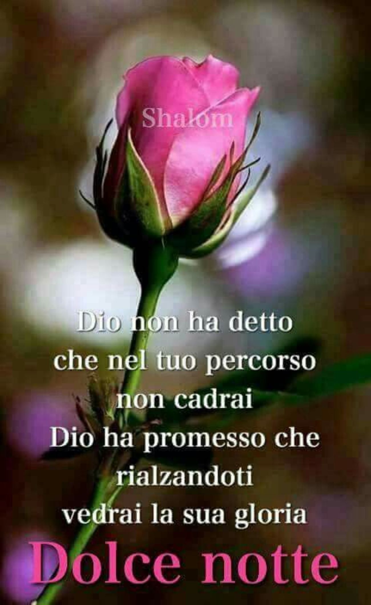 Buonanotte con Versi Biblici 3866
