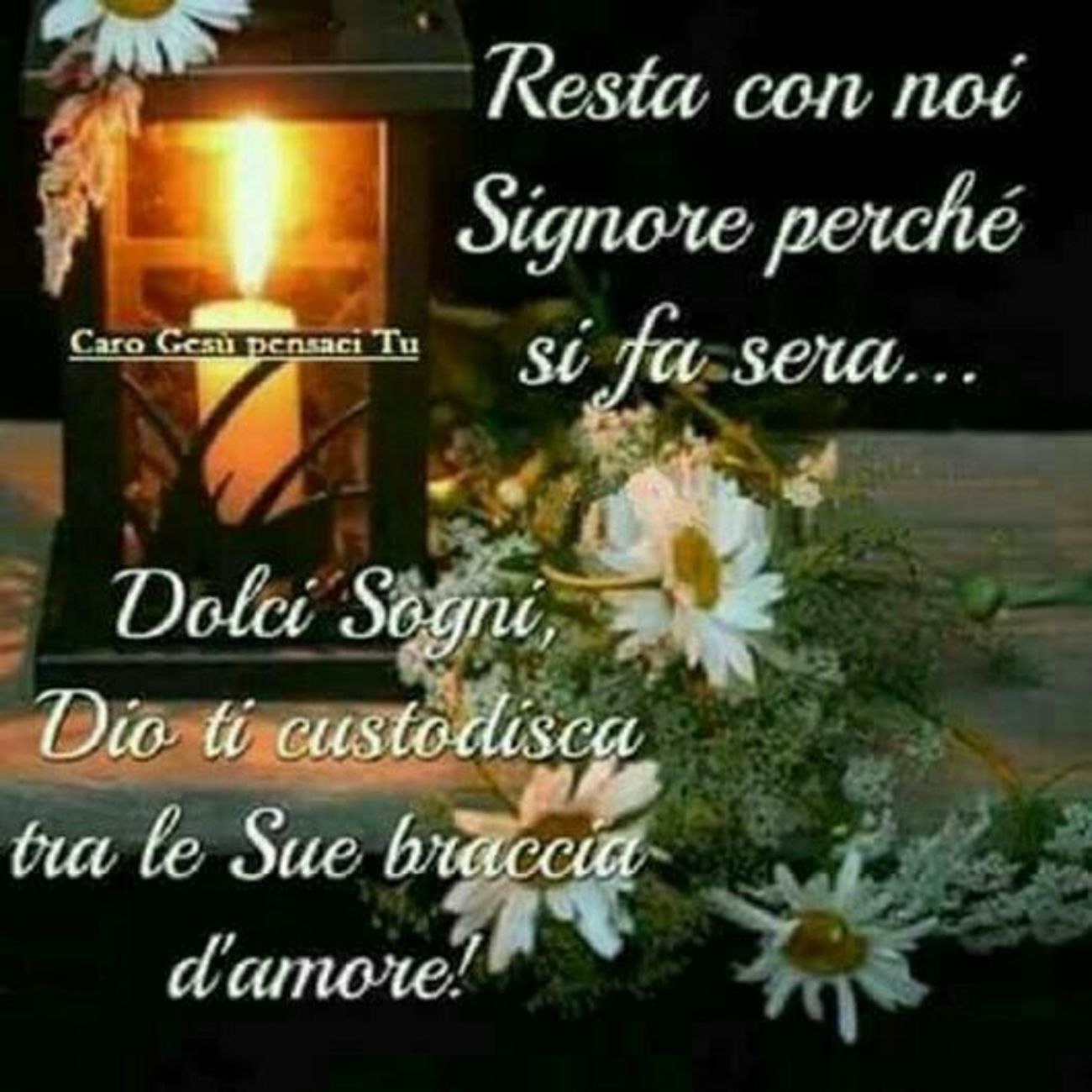 Buonanotte con la Fede 8956