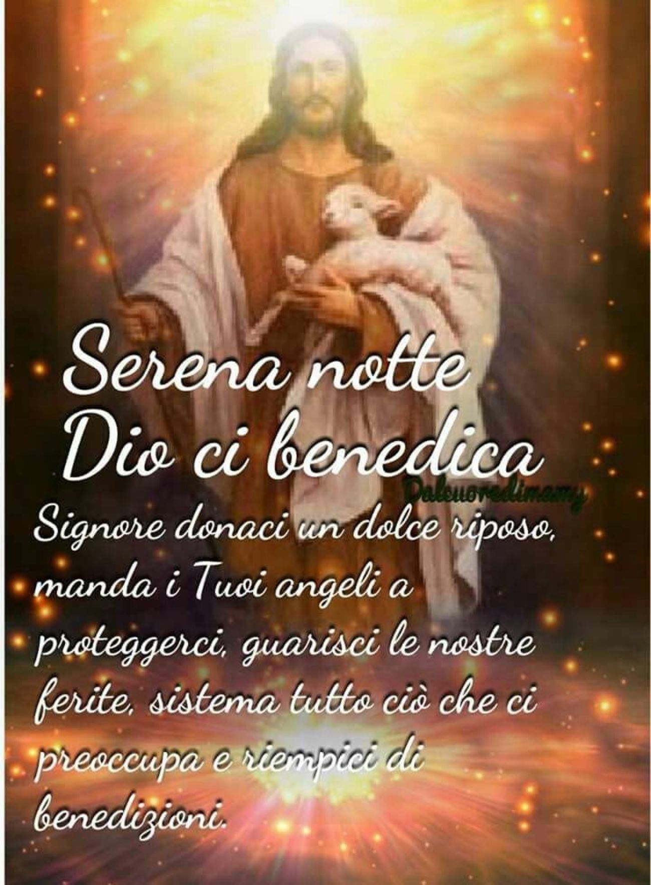 Buonanotte con la Fede 8978