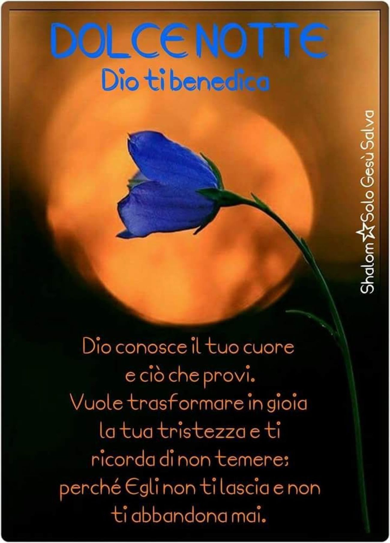 Buonanotte con lo Spirito Santo 3394
