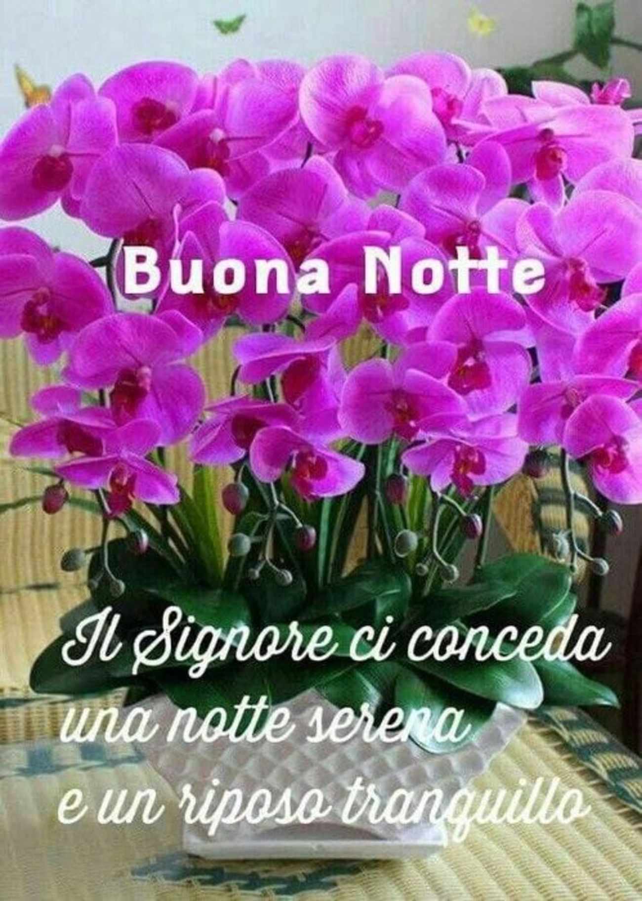 Buonanotte immagini religiose 17