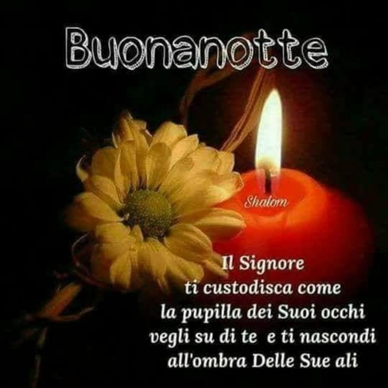 Buonanotte immagini religiose Pinterest 7357