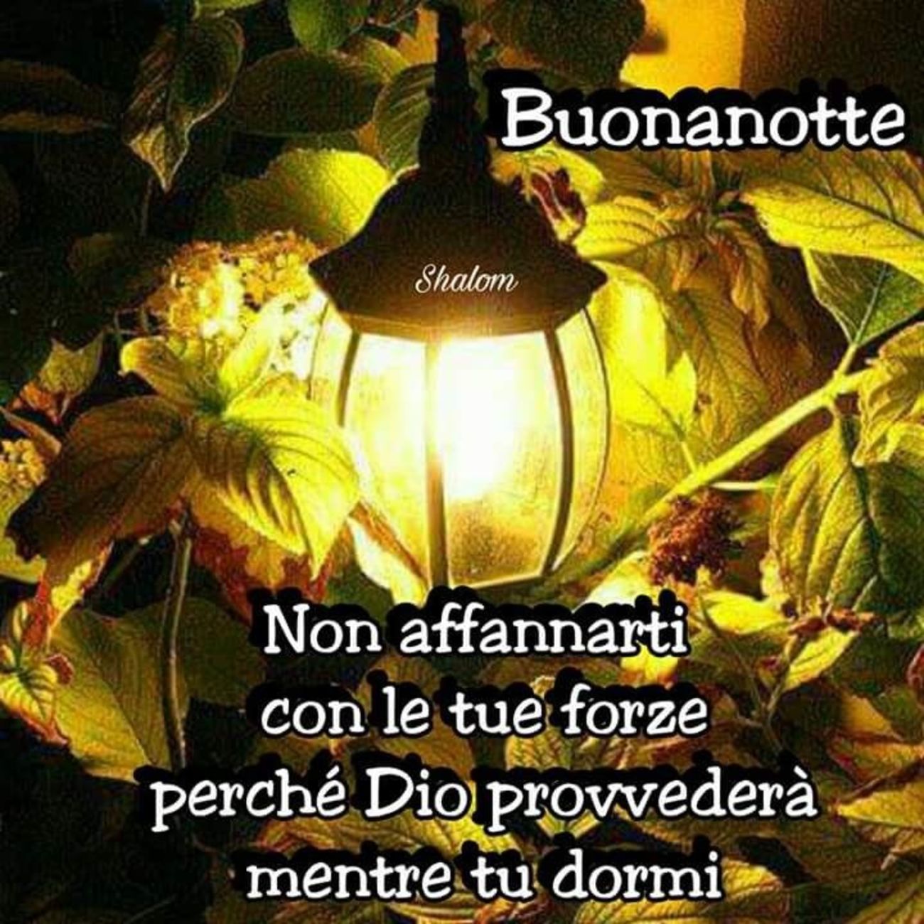 Buonanotte religioso 113