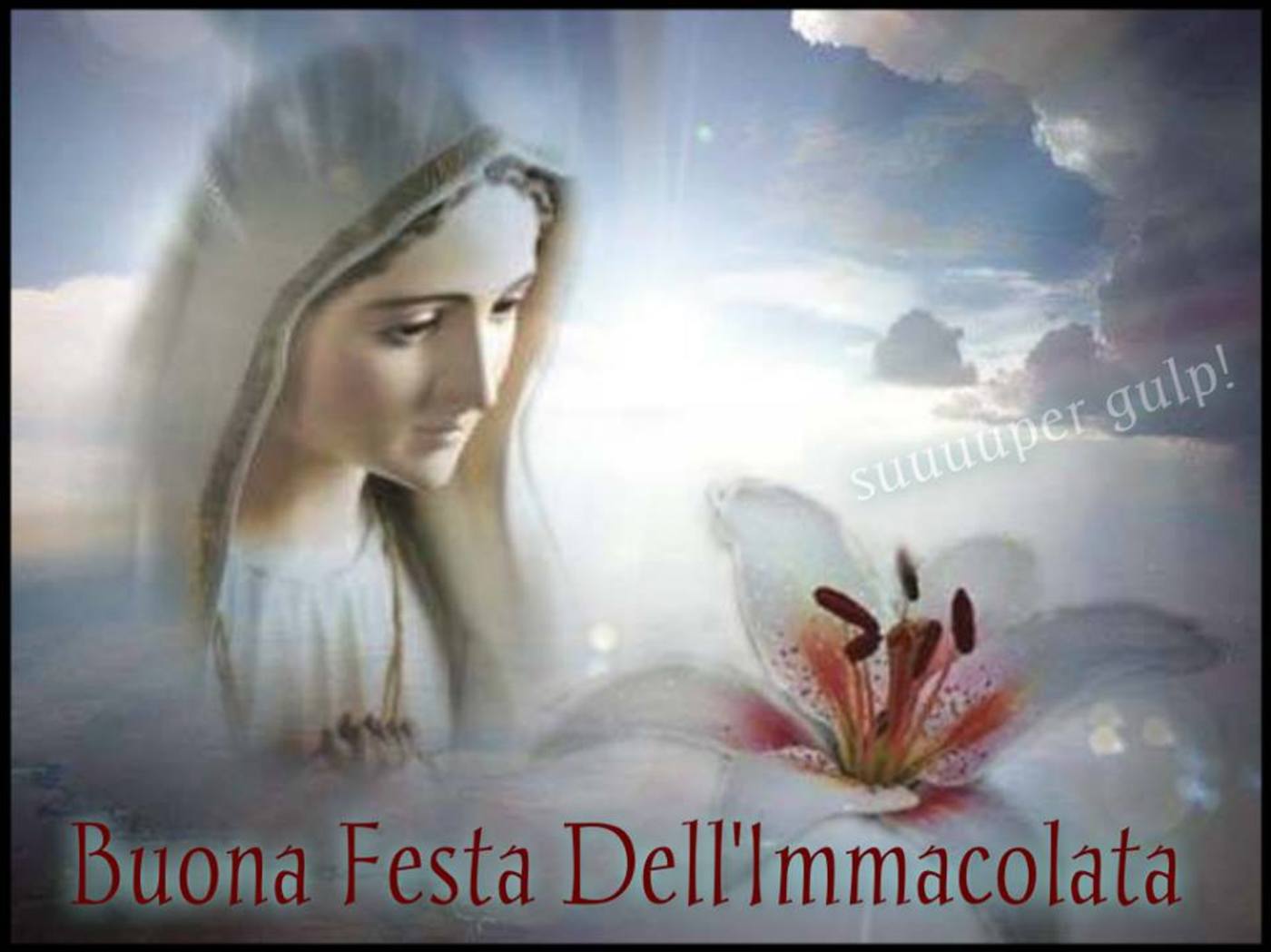 Festa dell'Immacolata per WhatsApp