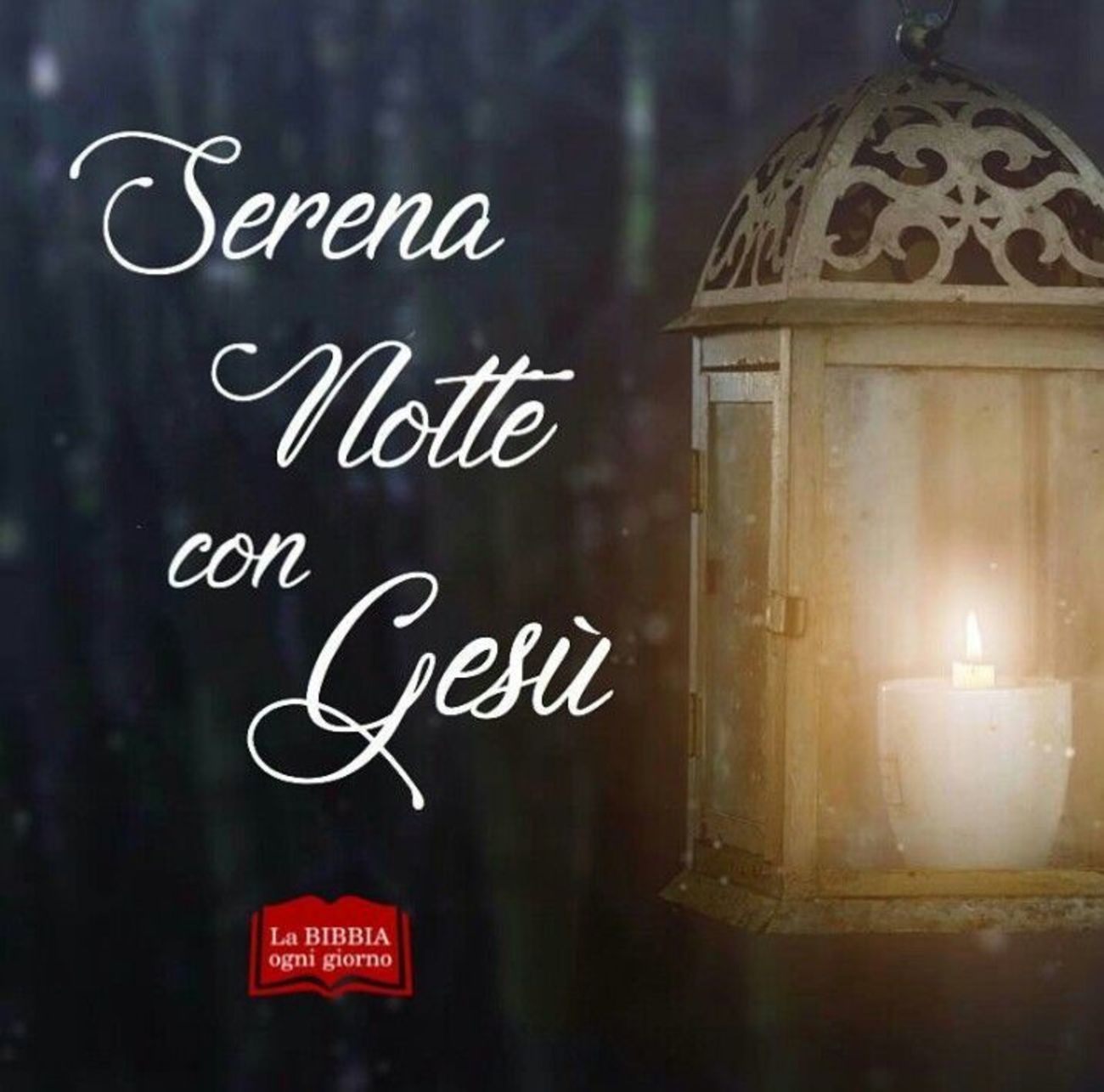 Immagini Buona Notte 2566