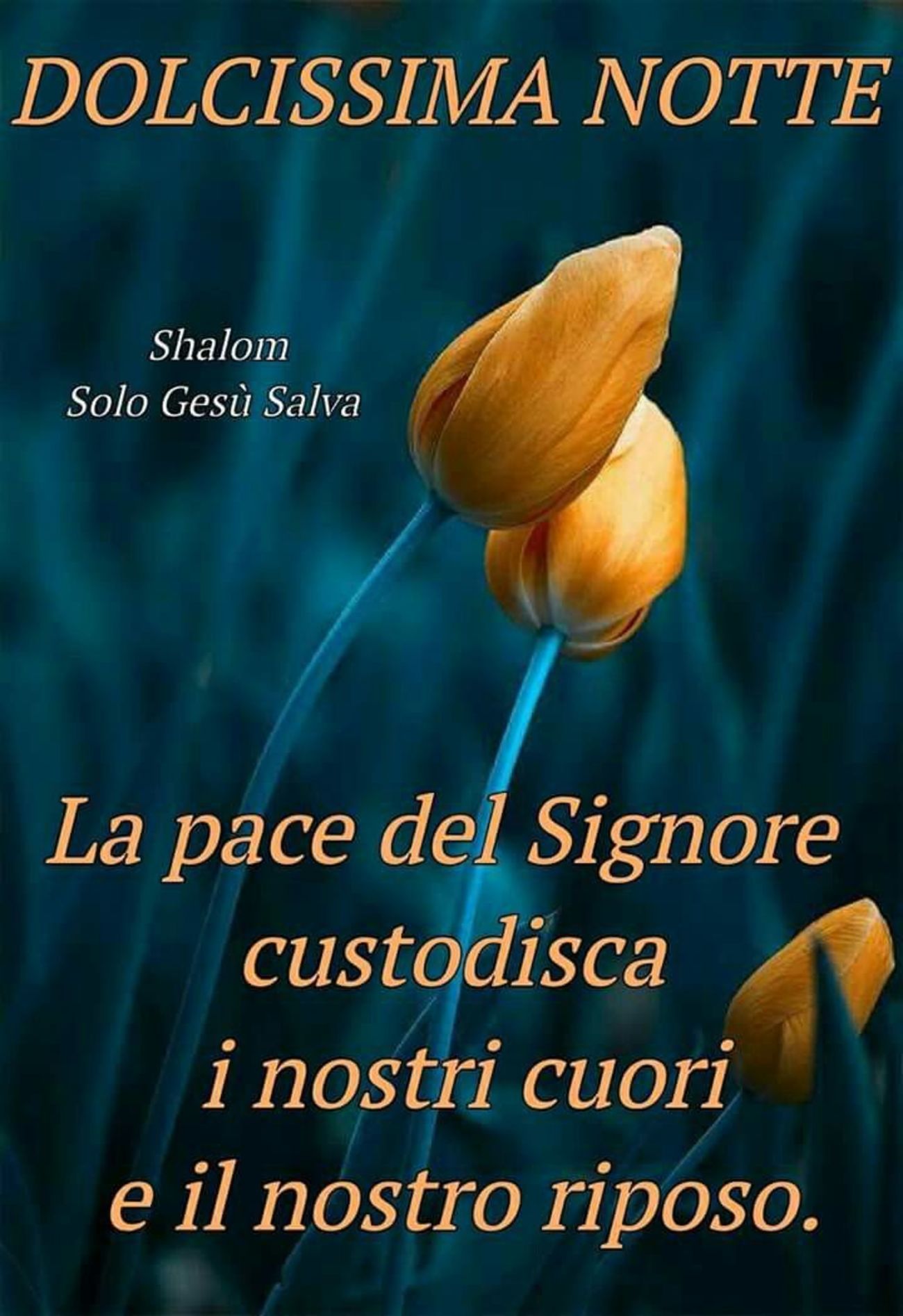 Immagini Buona Notte 2649