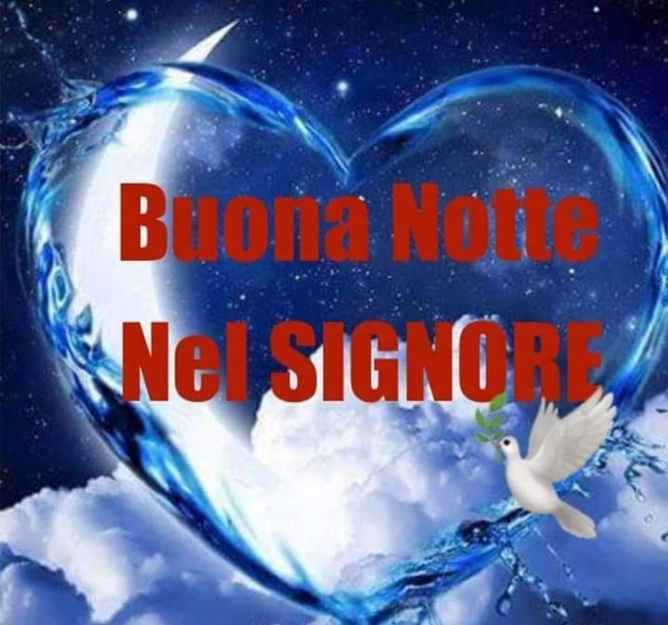 Immagini Buonanotte 2485