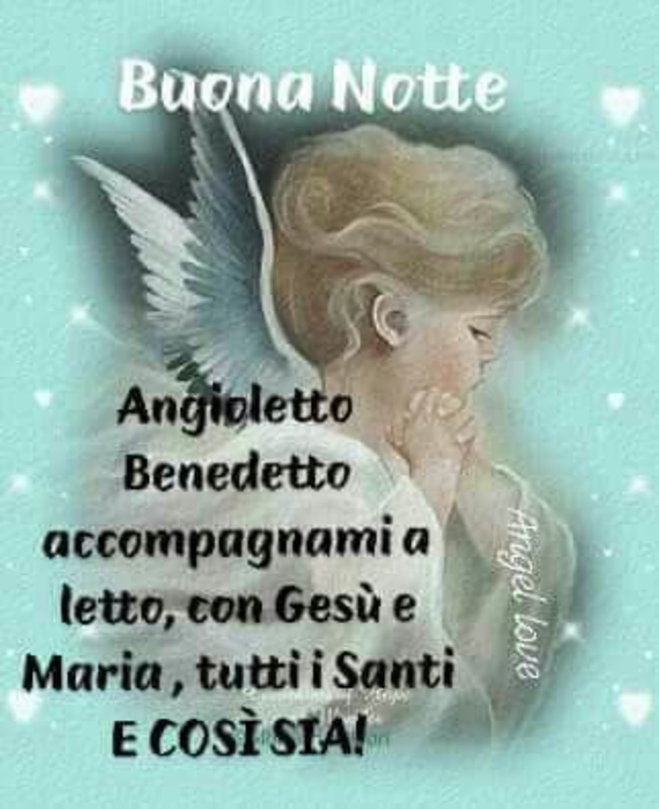 Serena Notte Madonnina 6806