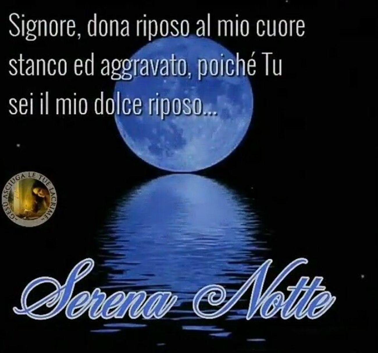 Serena Notte Madonnina 6842