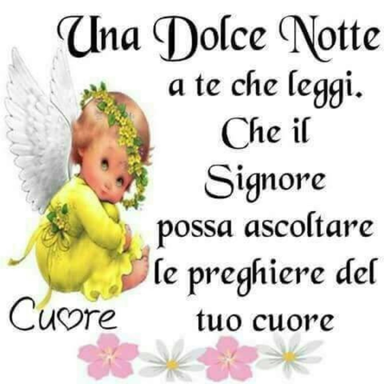 Serena Notte Madonnina 6889