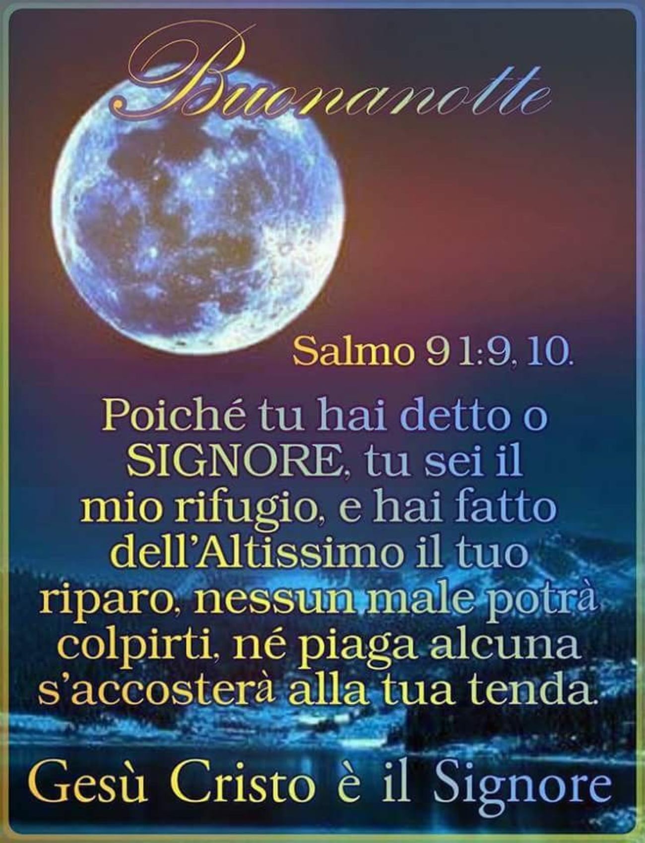 Serena Notte Madonnina 6916