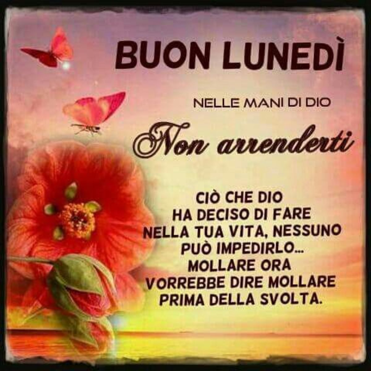 Buon Lunedì nel Signore