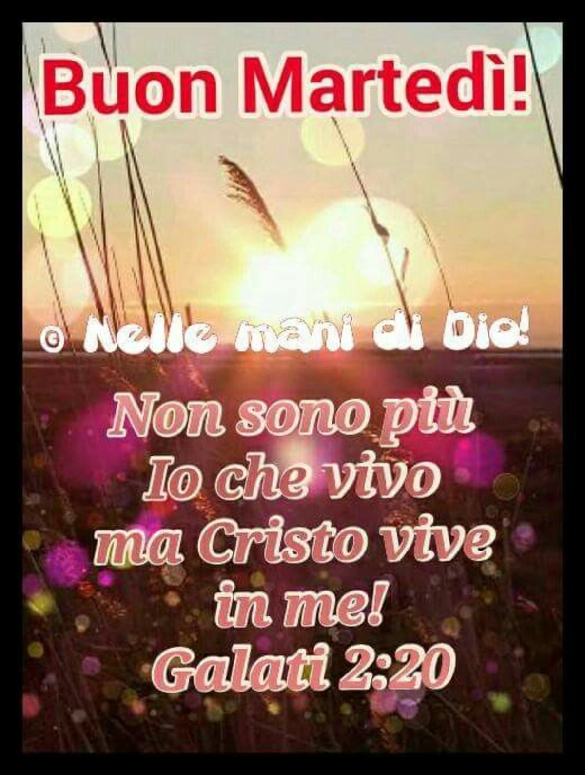 Buon Martedì con Cristo