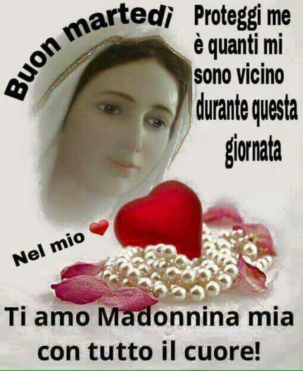 Buon Martedì con La Madonna