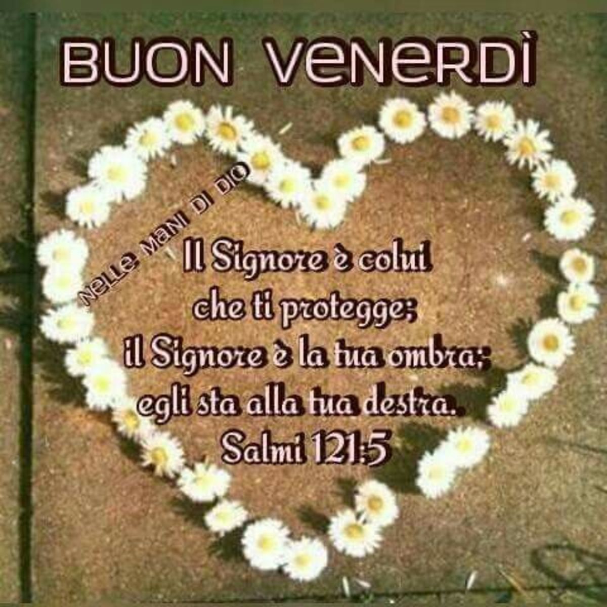 Buon Venerdì nel Signore