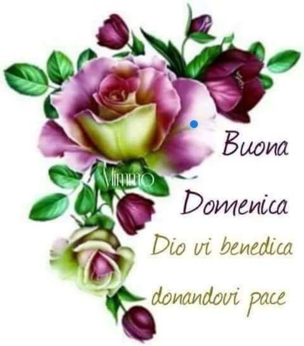 Buona Domenica con Benedizioni