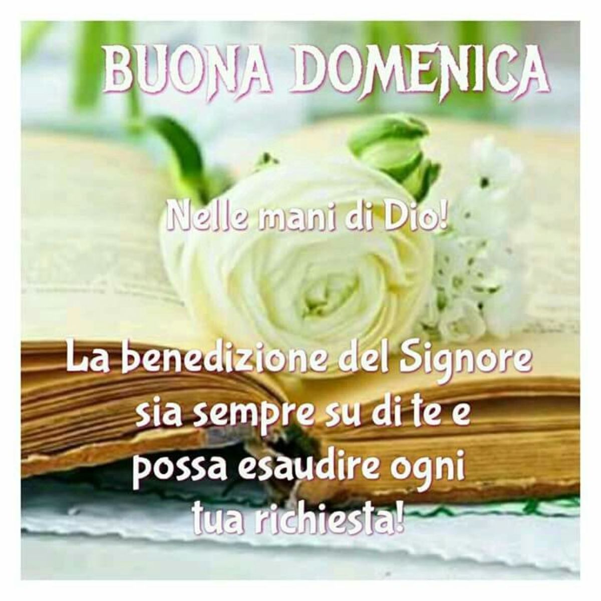 Buona Domenica con la Benedizione del Signore