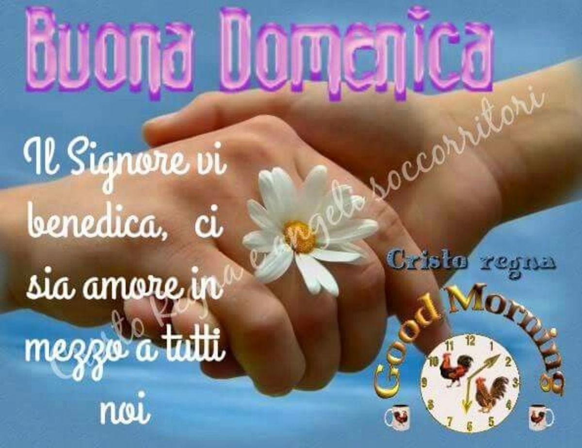 Buona Domenica nel Signore