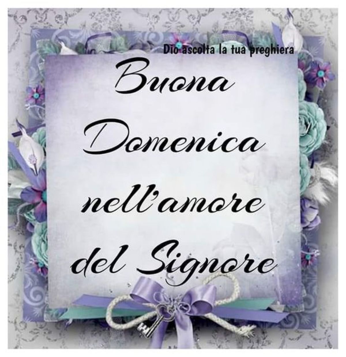 Buona Domenica nell'Amore del Signore