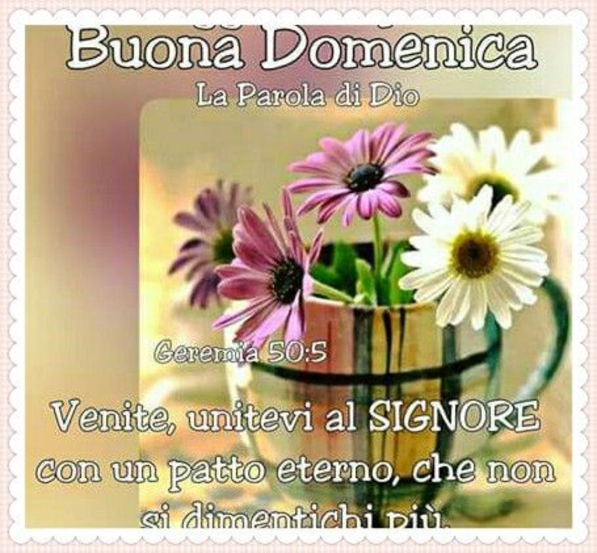 Buona Domenica religioso WhatsApp 3