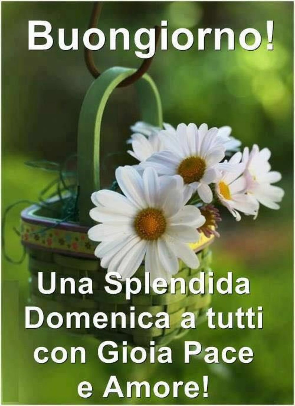 Buona Domenica religioso WhatsApp