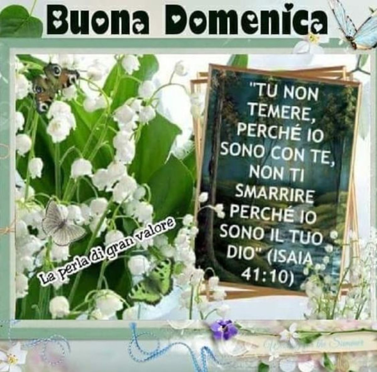 Buona Domenica sacro